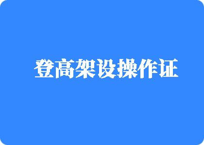 操逼暴操登高架设操作证